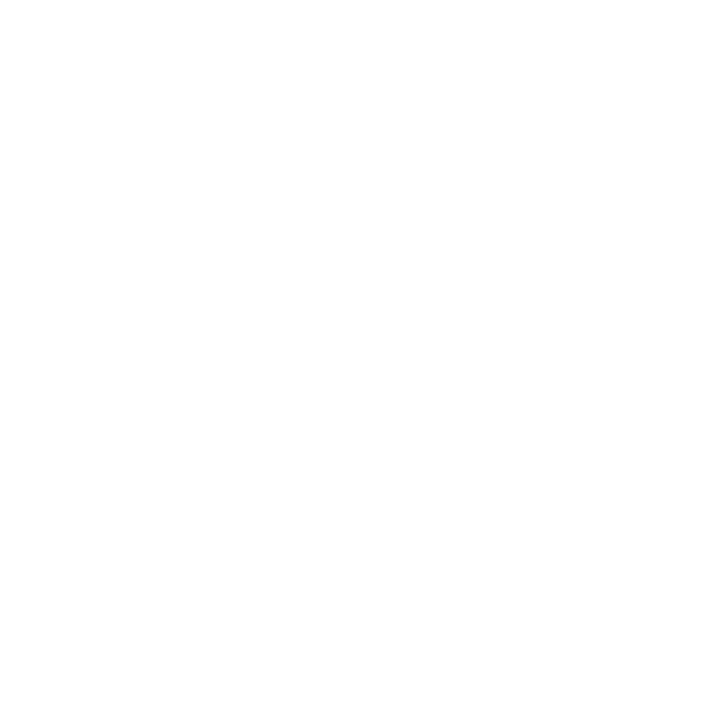 logo light